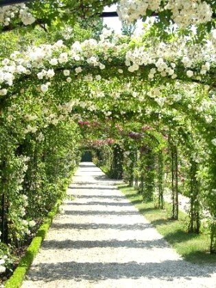 Beautiful Nature image