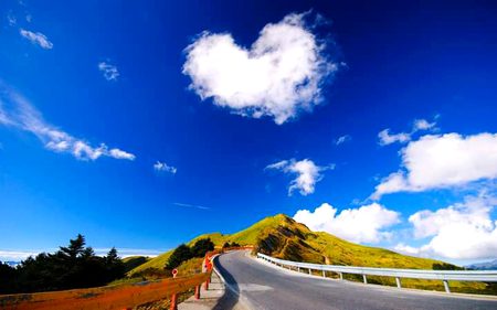 Beautiful Nature image
