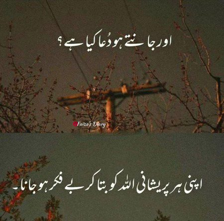 Islamic Quotes image