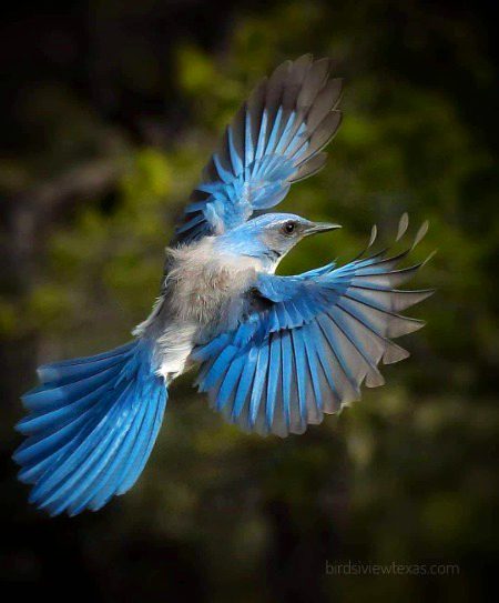 Beautiful Nature image