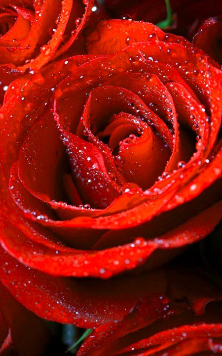 Beautiful Nature image