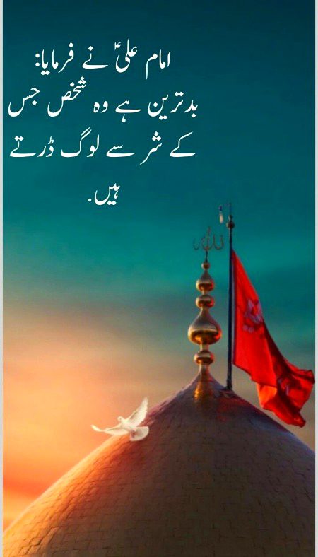 Islamic Quotes image