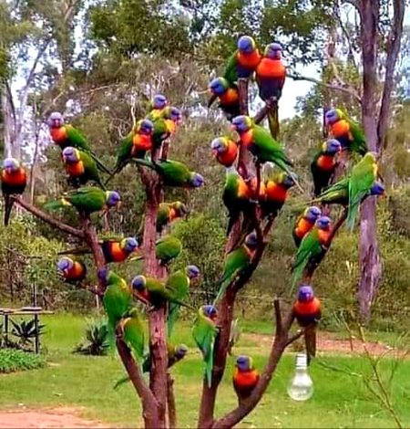 Beautiful Nature image