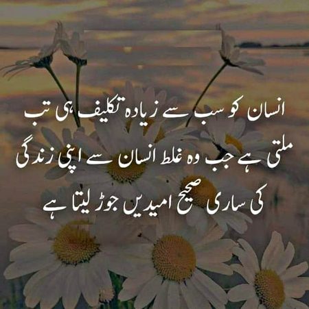 Social media post