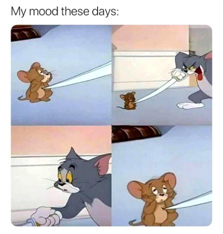 Memes & Satire image