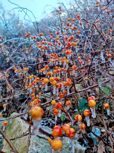 Beautiful Nature image