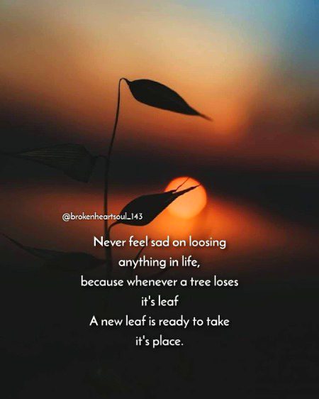 Motivational Quotes image