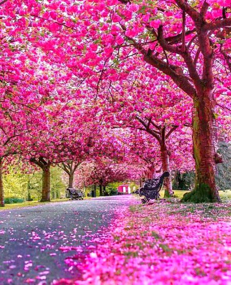 Beautiful Nature image