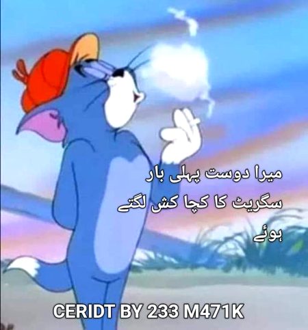 Memes & Satire image