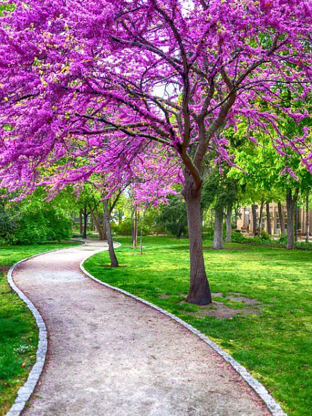 Beautiful Nature image