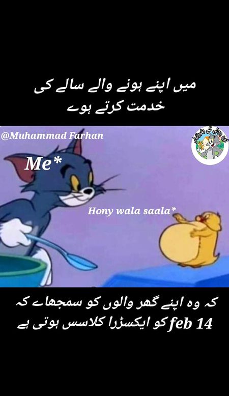 Memes & Satire image