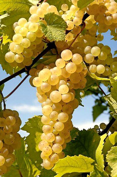 Beautiful Nature image