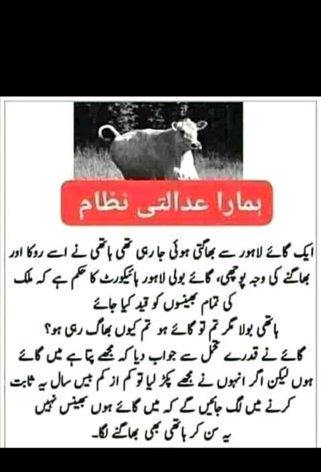 Social media post