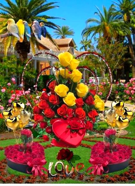 Beautiful Nature image