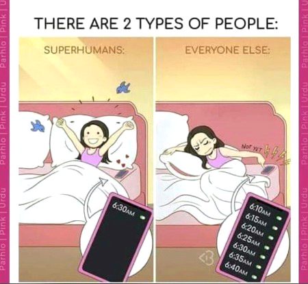 Memes & Satire image