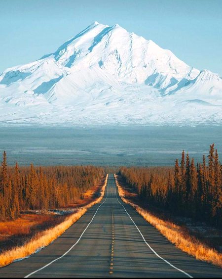 Beautiful Nature image