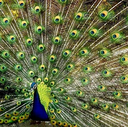 Beautiful Nature image