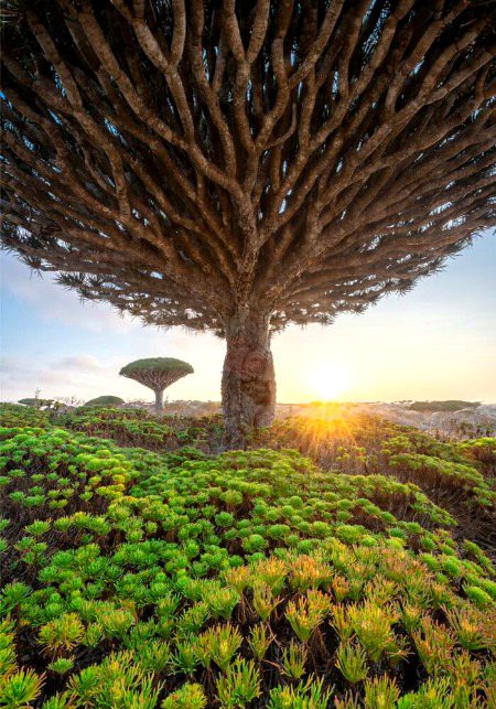 Beautiful Nature image