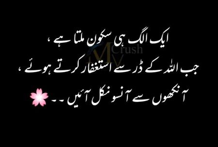 Islamic Quotes image