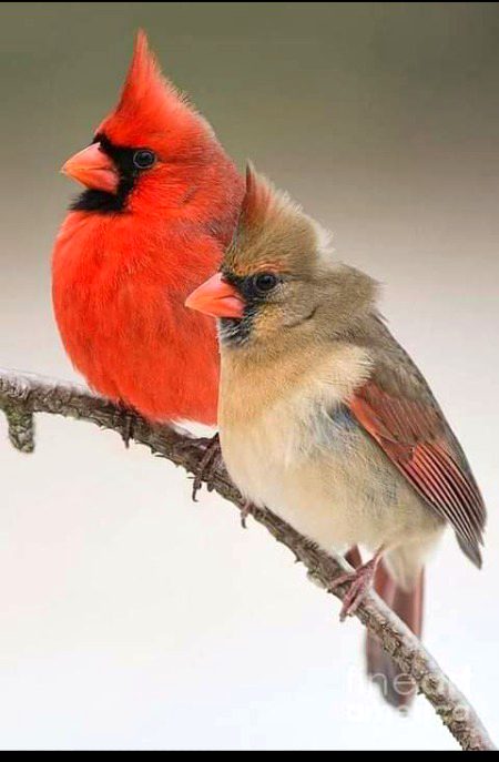 Beautiful Nature image