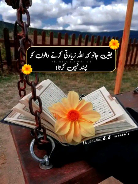 Islamic Quotes image