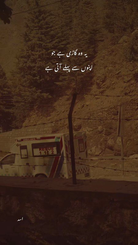 Life Advice image