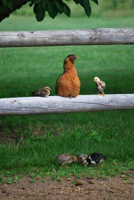 Beautiful Nature image