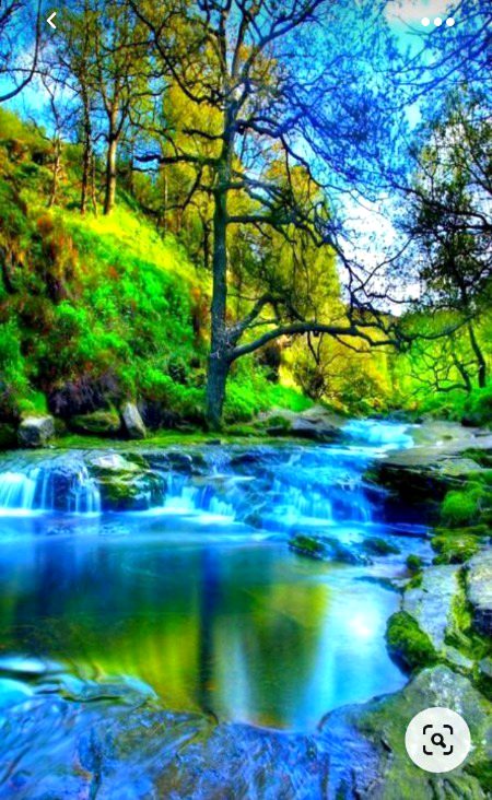 Beautiful Nature image