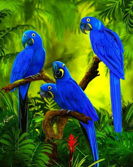 Beautiful Nature image