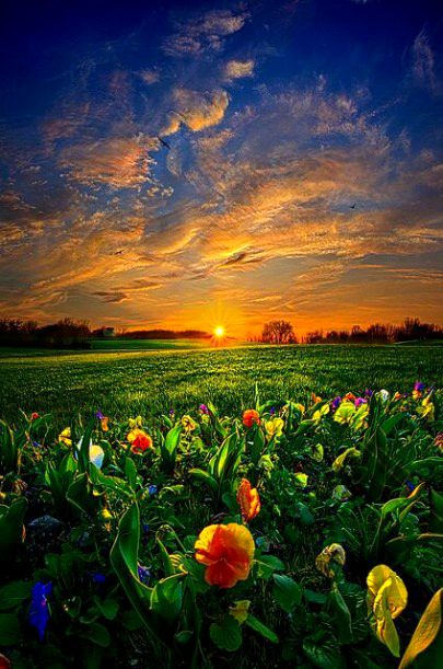 Beautiful Nature image