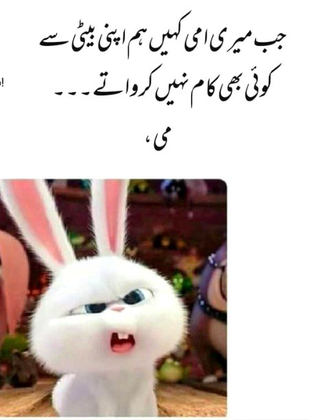 Memes & Satire image