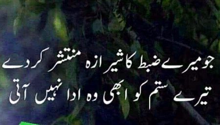 Sad Poetry image