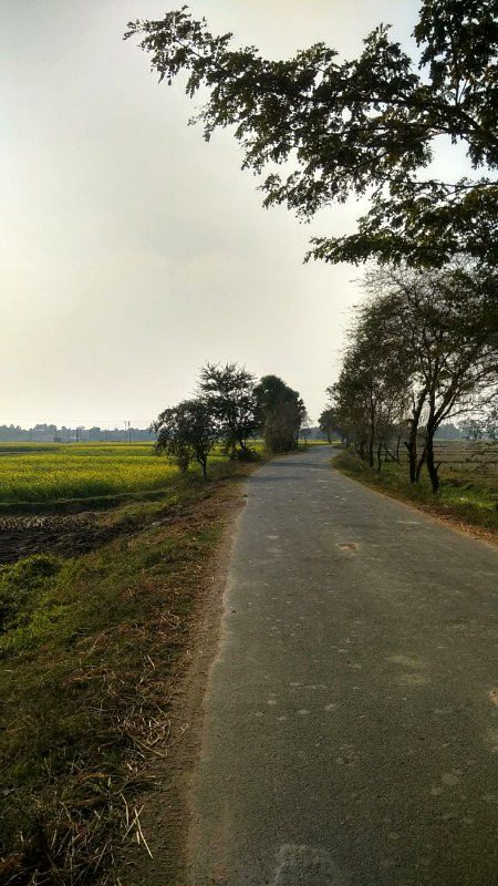 Beautiful Nature image