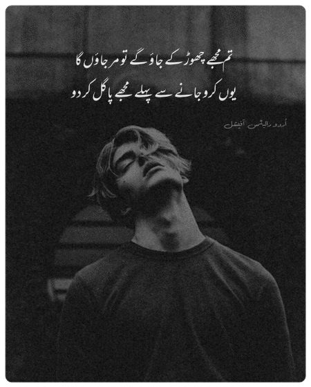 Sad Poetry image