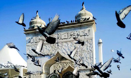 Islamic Quotes image