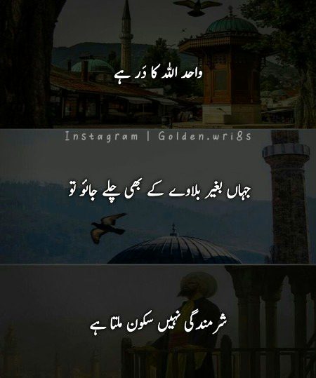 Islamic Quotes image