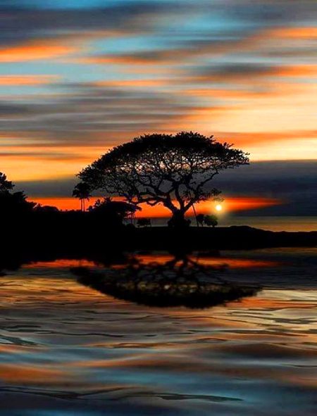 Beautiful Nature image