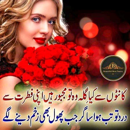 Sad Poetry image