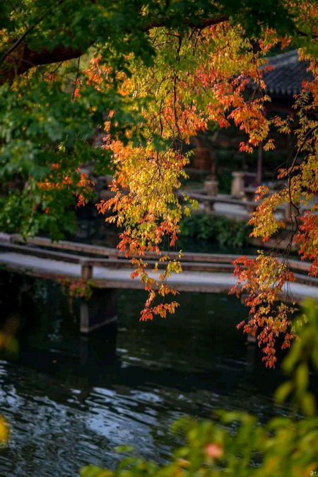 Beautiful Nature image