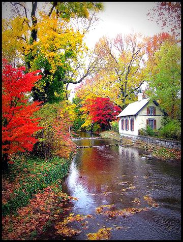 Beautiful Nature image