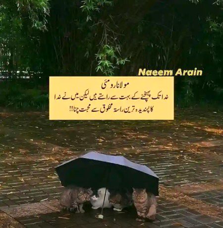 Islamic Quotes image