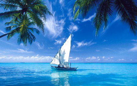 Beautiful Nature image