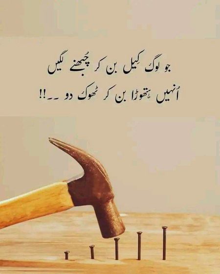 Attitude Quotes image