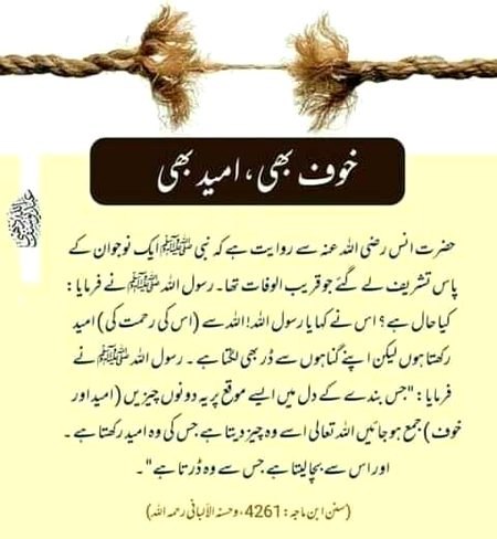 Islamic Quotes image