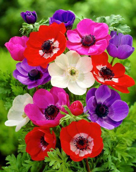Beautiful Nature image
