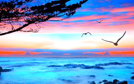Beautiful Nature image