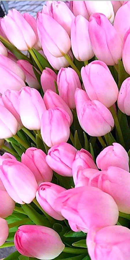 Beautiful Nature image