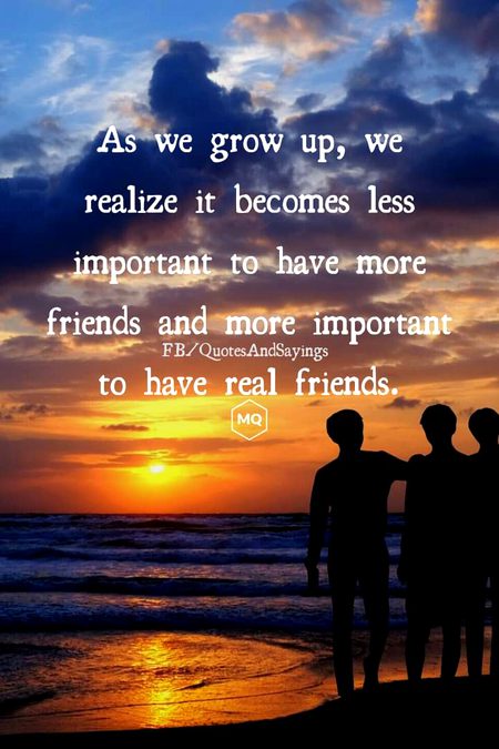Life Advice image