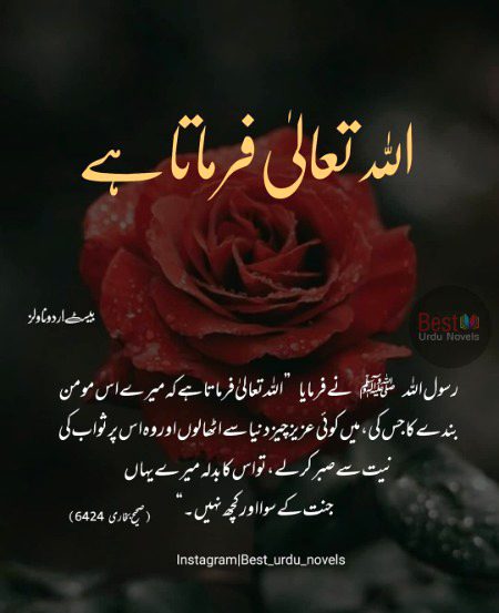 Islamic Quotes image