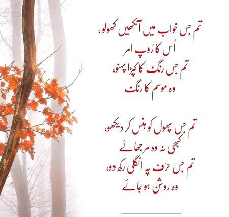 Romantic Poetry image